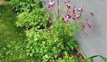 1019 Ash St, Alexandria, MN 56308