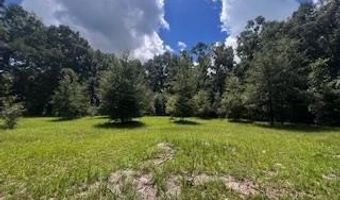 4899 36th St, Bell, FL 32619