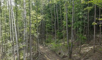 738 Four Mile Rd, Allegany, NY 14706