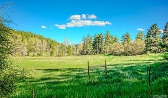 5207 N Creek Rd, Beulah, CO 81023