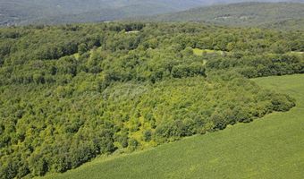 1608 Braintree Hill Rd, Braintree, VT 05060