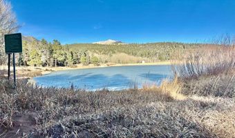 10401 Windy Ridge Rd, Aguilar, CO 81020