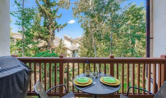 31 Avondale Ln 203, Beaver Creek, CO 81620