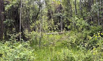 504 Carmen Creek Rd, Carmen, ID 83462