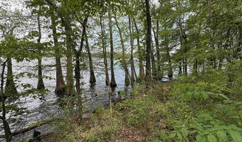 Tract 1 E Bay Road, Atkins, AR 72823