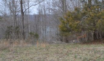 Fox Hill Road lot 4 & 5, Baxter, TN 38544
