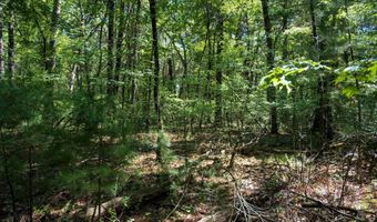 19 Th Pass Lot 132, Arkdale, WI 54613