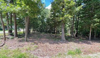 Nettle LN, Bella Vista, AR 72714