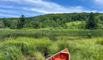 Woodland Hills Road, Andes, NY 13731