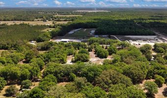 3169 N US Hwy 129, Bell, FL 32619