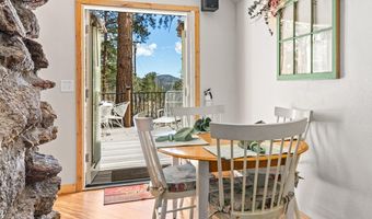 131 County Road 90, Allenspark, CO 80510