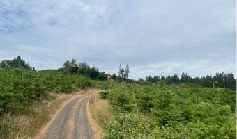 Northrup Creek Rd, Birkenfeld, OR 97016