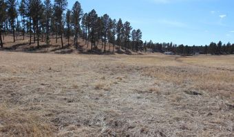Lot 4 South Star Drive, Custer, SD 57730