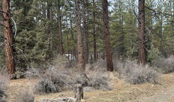 Bufflehead Drive TL 10, Bonanza, OR 97623