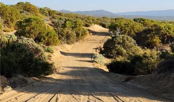 54151 Springs Trl, Anza, CA 92539