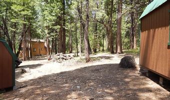 232 Iroquois Dr, Camp Connell, CA 95223