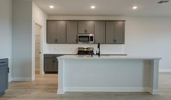 336 Bushwack Dr Plan: Jordan, Adkins, TX 78101