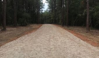 00 TRACT # 1 Burgetown Rd, Carriere, MS 39426