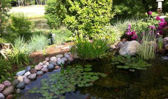 305 BUCKINGHAM Dr, Algonquin, IL 60102