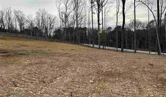 2 50 Ac Tract Green St, Chesterfield, SC 29709