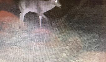 001 Farr Rd, Bolton, MS 39041