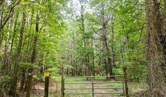 00 County Road 107, Ariton, AL 36311