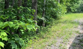 Lot 156 & 158 VICKI, Basye, VA 22810