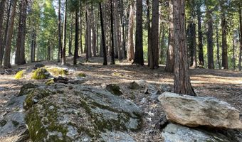 3285 Pocatello Cir, Camp Connell, CA 95223