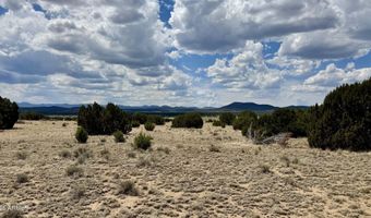 17 COUNTY ROAD N8034 185, Concho, AZ 85924