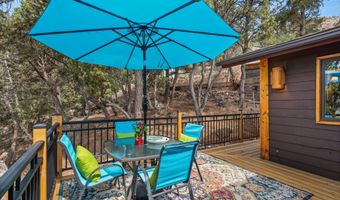 679 Pinon Dr, Basalt, CO 81621