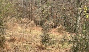 Julius Bridge Road, Ball Ground, GA 30107