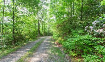 1200 Tobacco Branch Rd, Almond, NC 28702