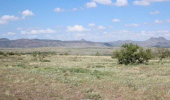 Tract 32 Sierra La Rana, Alpine, TX 79830
