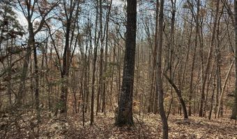 Parksville Road lot 1, Benton, TN 37307