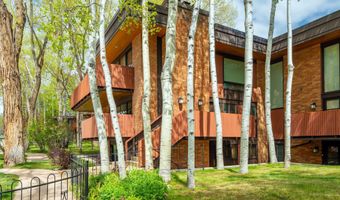 400 W Hopkins Ave 5, Aspen, CO 81611