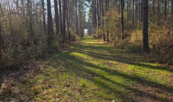 U.S. Highway 51, Bogue Chitto, MS 39629