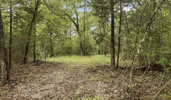 115355 115353 CR 2501, Alto, TX 75925
