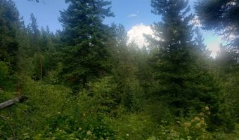 Lot 20 Arlee Pines, Arlee, MT 59821