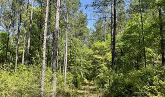 0 Orem Rd, Bay Minette, AL 36507