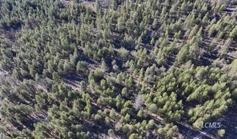 Badger Lane, Bonanza, OR 97623