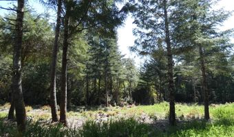 47615 Oregon Coast Hwy, Bandon, OR 97411