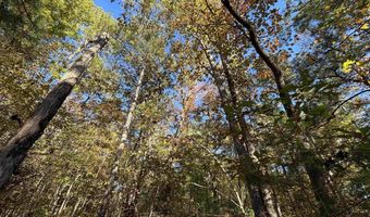 0 WALDROP Rd 10.82 Acres, Ashville, AL 35953