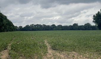 Old Jackson Road, Bells, TN 38006