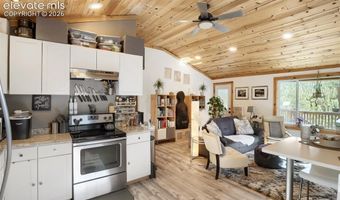226 Hall Rd, Bailey, CO 80421