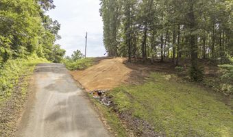 NELLS KNOB Cv, Bath Springs, TN 38311