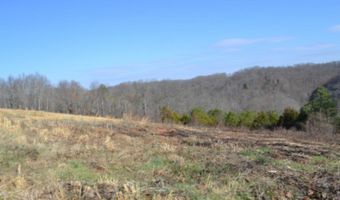 Lord Botetourt Court lot 13, Baxter, TN 38506