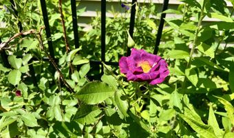 127 Swan Lake Ave, Belfast, ME 04915