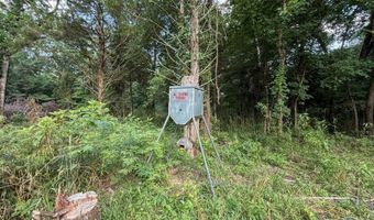 Old Moyers Road, Antlers, OK 74523