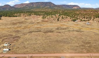 The Ranch at Alpine lot 23, Alpine, AZ 85920