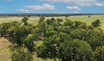 Tbd Tract 5 Fm-2819, Anderson, TX 77830